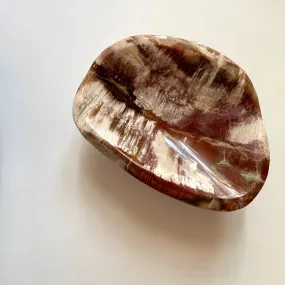 Ancient Lines Petrified Wood dish