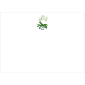 Correspondence Card - White Orchid