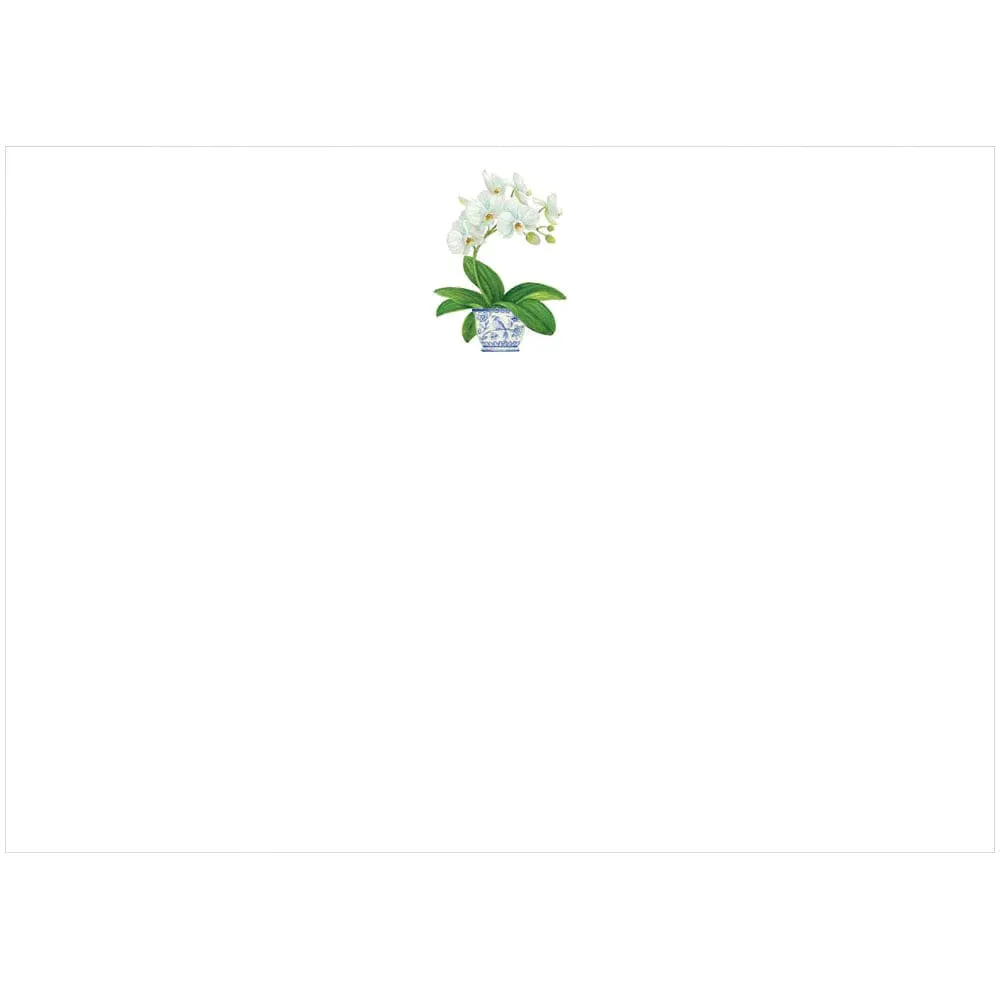 Correspondence Card - White Orchid