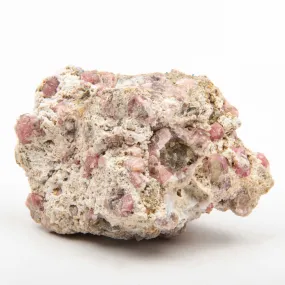 Garnet - Pink, Rough w/ Vesuvianite