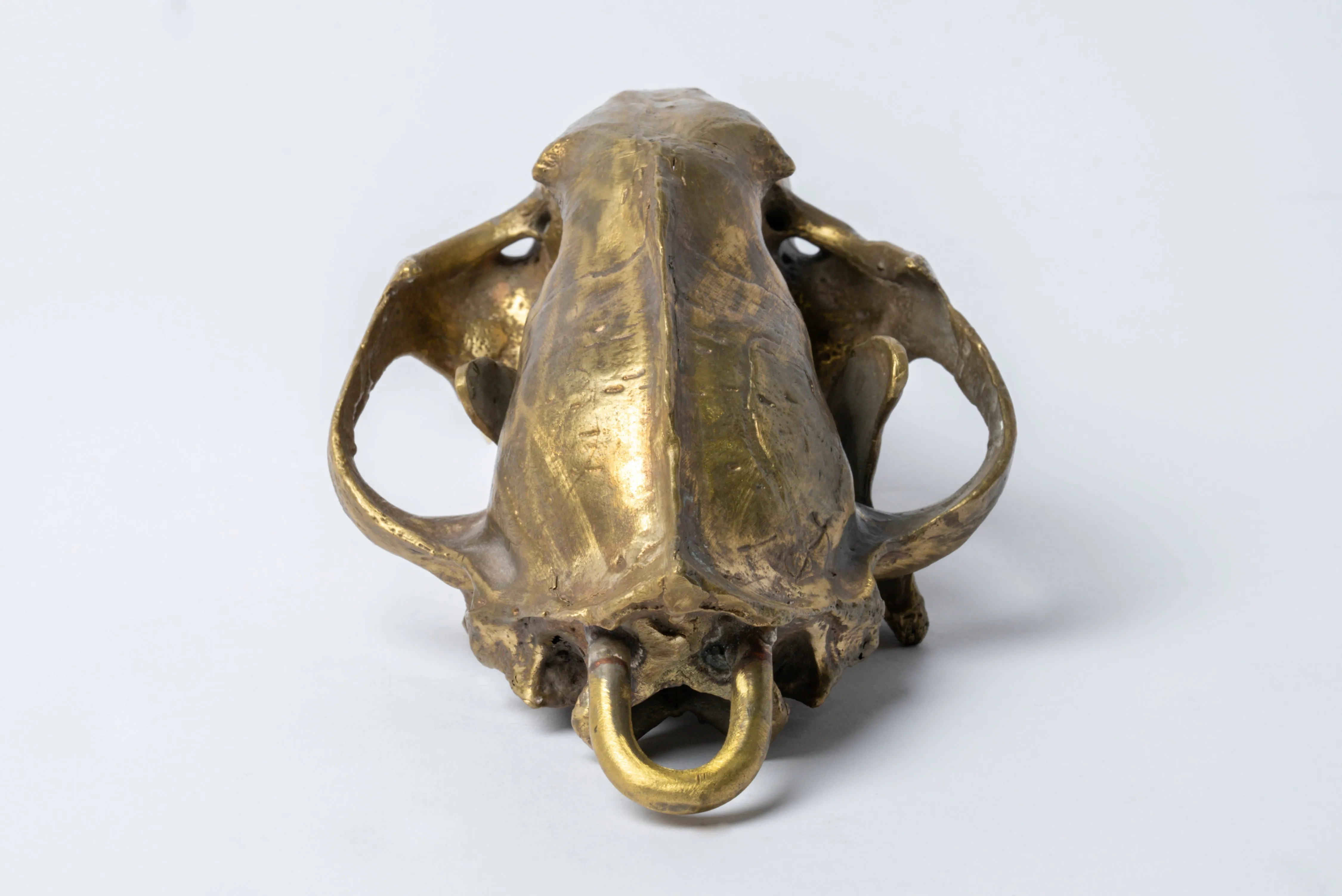 Leopard Skull (MR B)