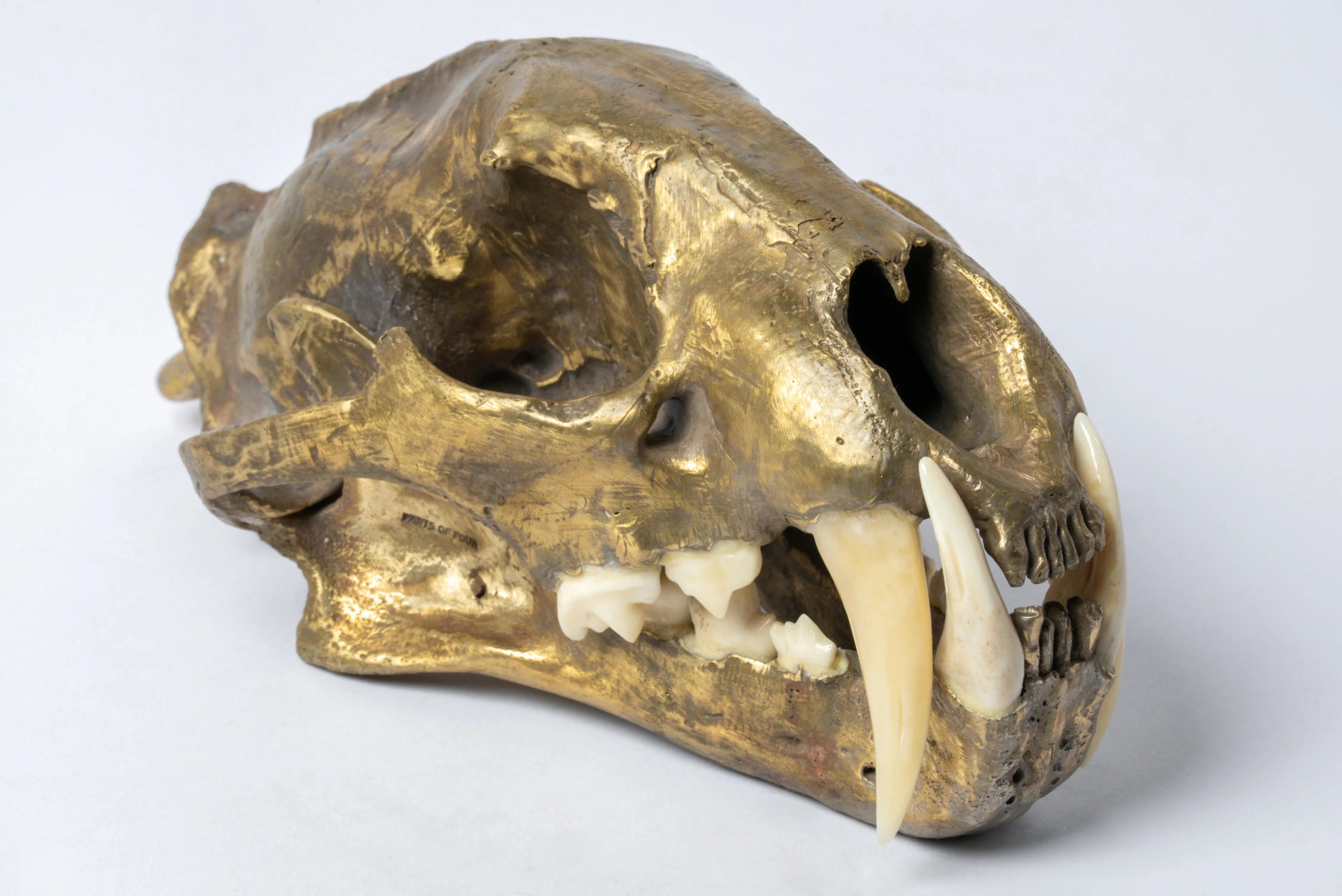 Leopard Skull (MR B)